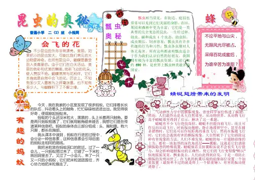 A4昆虫世界电子小报模板
