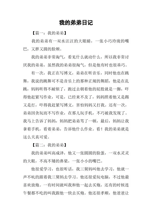 我的弟弟日记