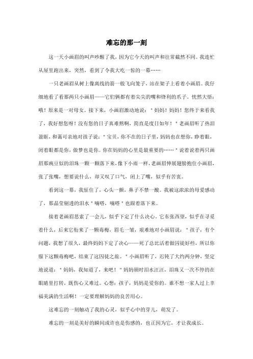 难忘的那一刻_初中初一作文600字