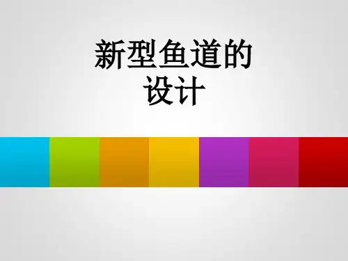 新型鱼道设计