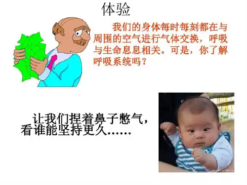 呼吸一呼吸道和肺共49页