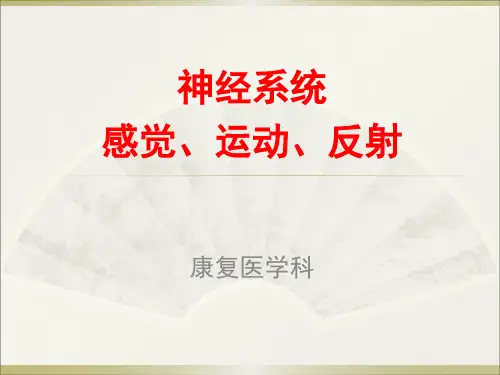 感觉运动反射