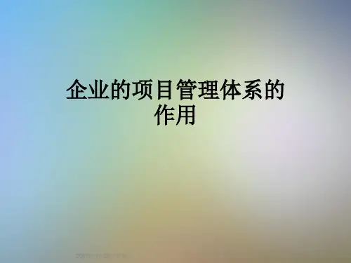 企业的项目管理体系的作用