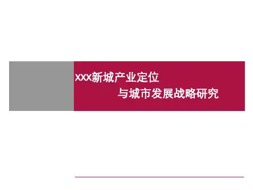 产业新城项目定位与城市发展战略研究