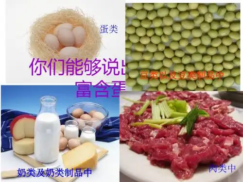 生命活动的主要承担者--蛋白质(公开课课件)