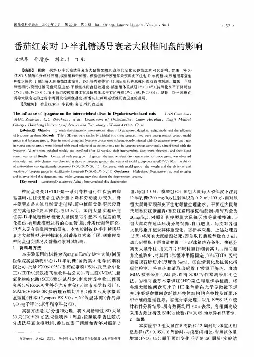 番茄红素对D-半乳糖诱导衰老大鼠椎间盘的影响