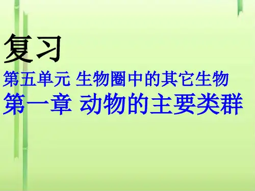 动物的主要类群复习课PPT课件26 人教版