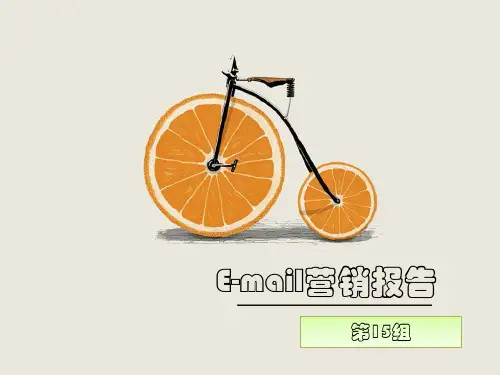 娃哈哈电子邮件营销