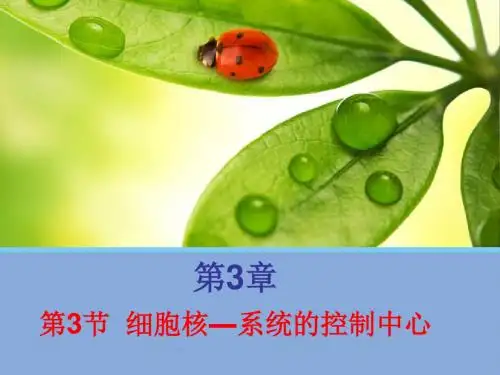 3.3细胞核-系统的控制中心