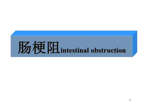 肠梗阻的X线表现精品PPT课件