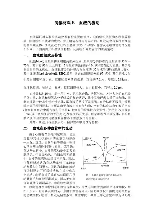 血液的流动