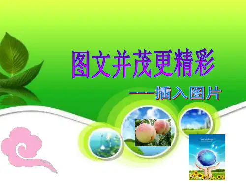 在Word中插入文件图片课件