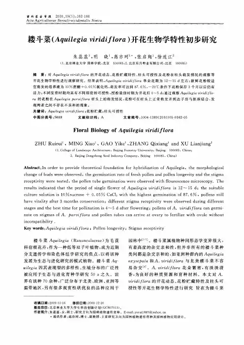 耧斗菜(Aquilegia viridiflora)开花生物学特性初步研究