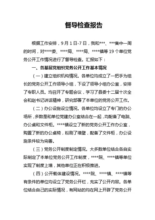督导检查报告