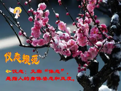护理人员职业形象塑造2PPT课件