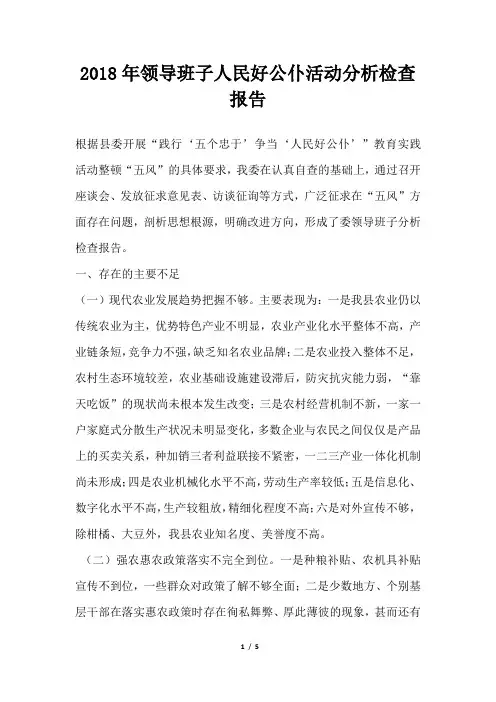 领导班子人民好公仆活动分析检查报告