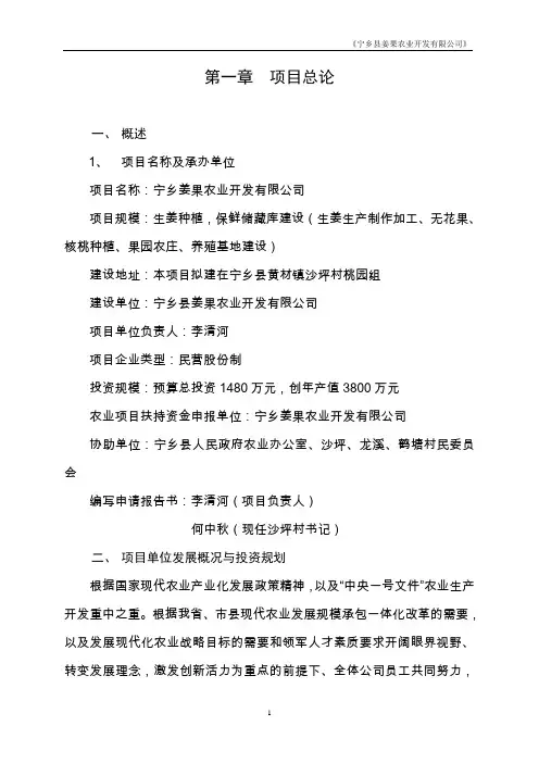 项目申请报告书