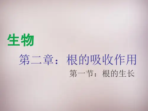 八年级生物上册第三单元第二章第1节《根的生长》课件1.