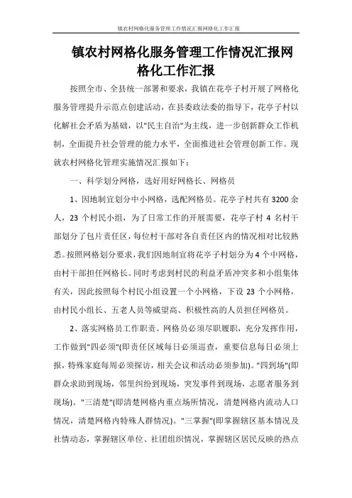  镇农村网格化服务管理工作情况汇报网格化工作汇报
