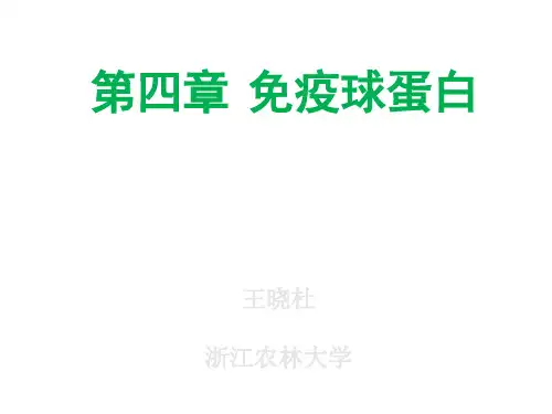 第四章 抗体分析