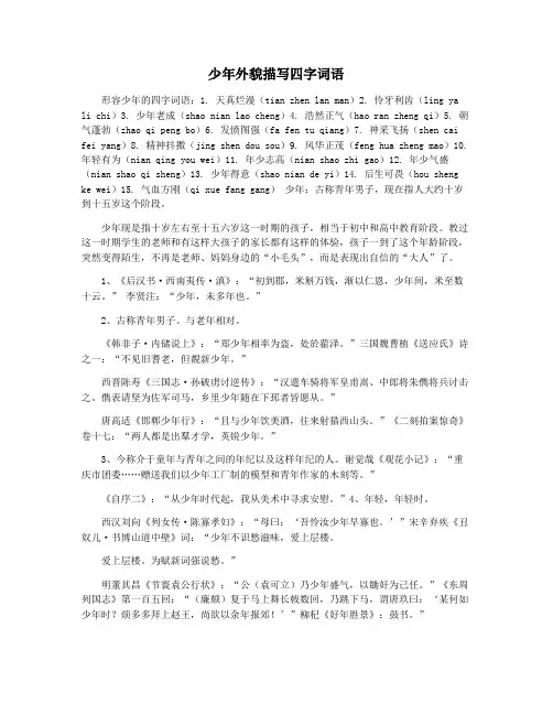 少年外貌描写四字词语