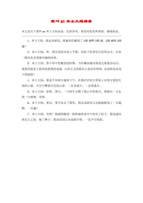 我叫mt术士大妈语录