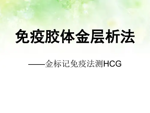 免疫胶体金层析法-hcg