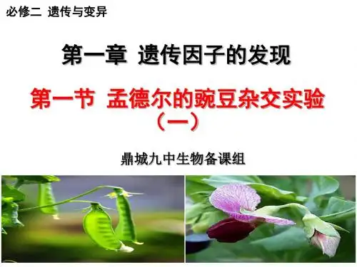 2017年必修2第1章第1节课件