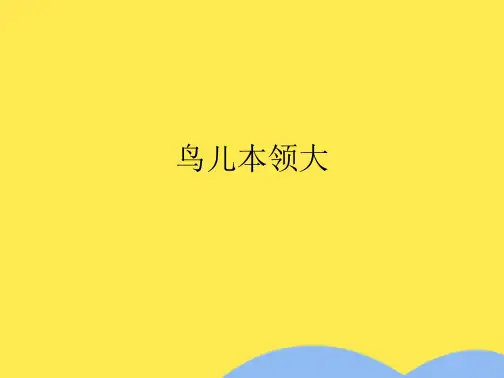 鸟儿本领大优秀课件(共9张PPT)