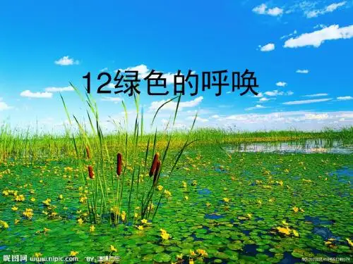 沪教版品社一下《绿色的呼唤》ppt课件3