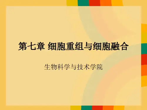 第七章 细胞重组与细胞融合