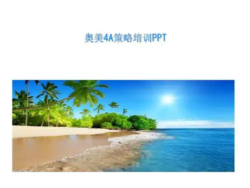 奥美4A策略培训PPT