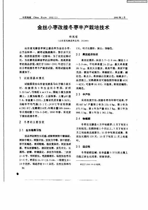 金丝小枣改接冬刺丰产栽培技术