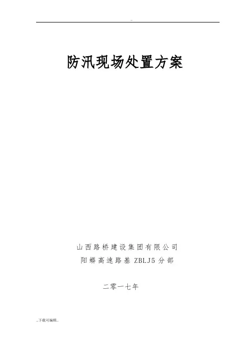 防汛现场处置方案
