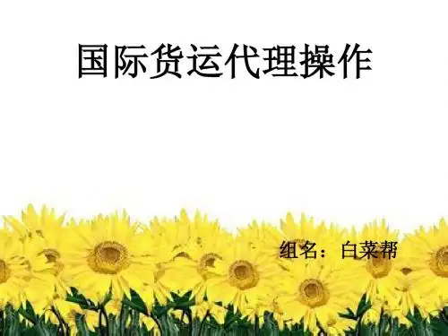 国际货运口岸布局 白菜帮