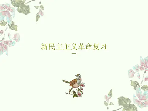 新民主主义革命复习共53页文档