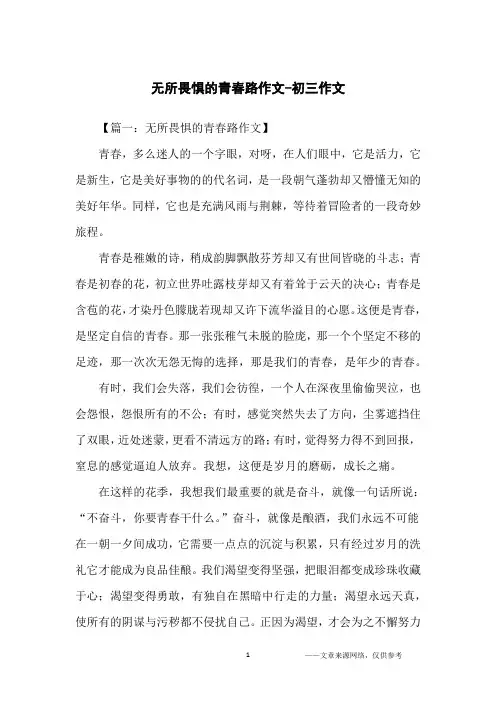 无所畏惧的青春路作文-初三作文