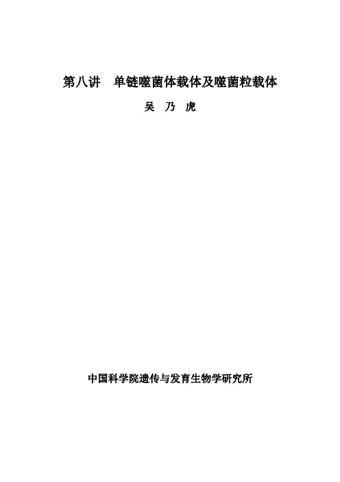 第八讲单链噬菌体载体及噬菌粒载体