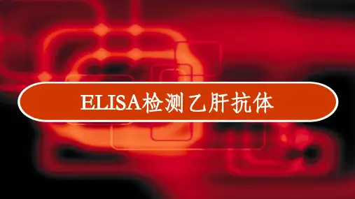 ELISA检测乙肝抗体 PPT