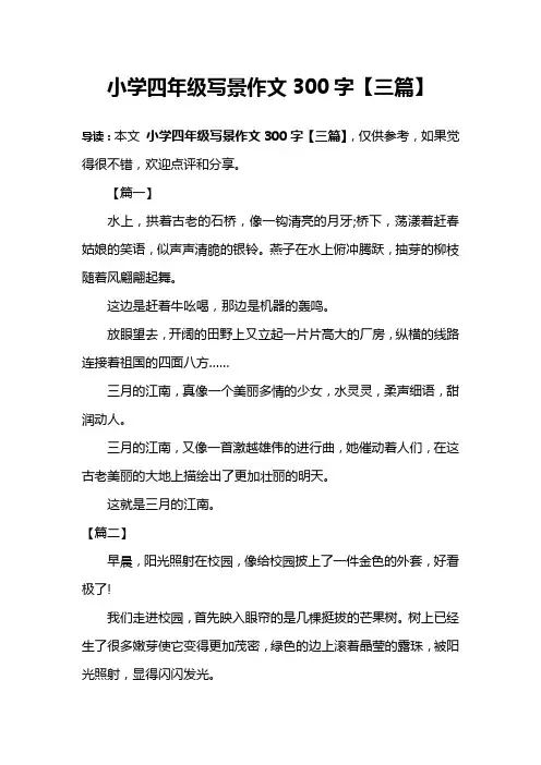 小学四年级写景作文300字【三篇】