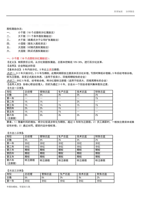 股权激励办法(第二天)