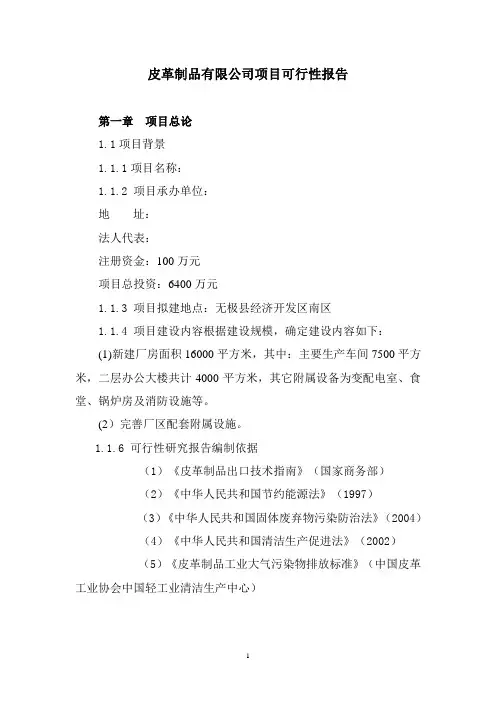 皮革制品项目可行性研究报告
