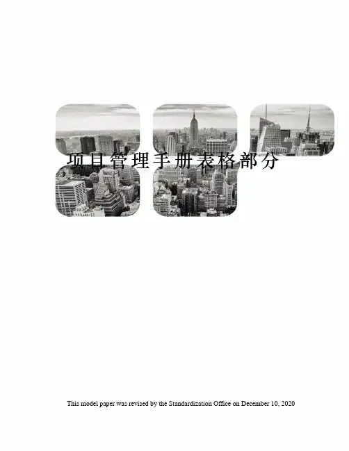 项目管理手册表格部分