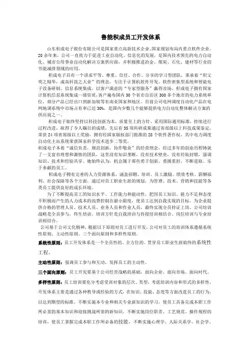 人力资源开发案例