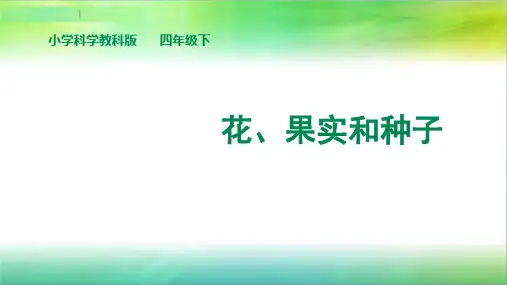 教科版小学科学四年级下册科学《花、果实和种子》教学设计
