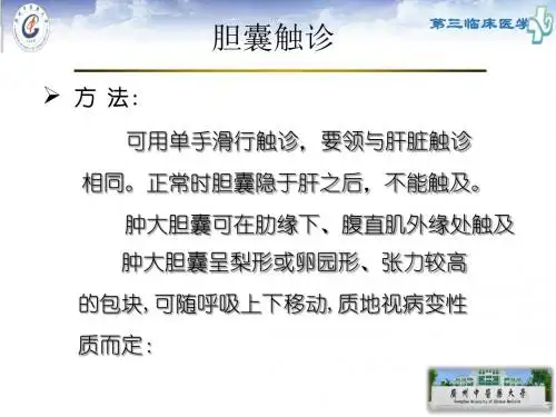 诊断学腹部5