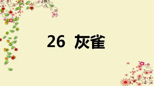 课堂教学灰雀课件语文部编版三年级上册
