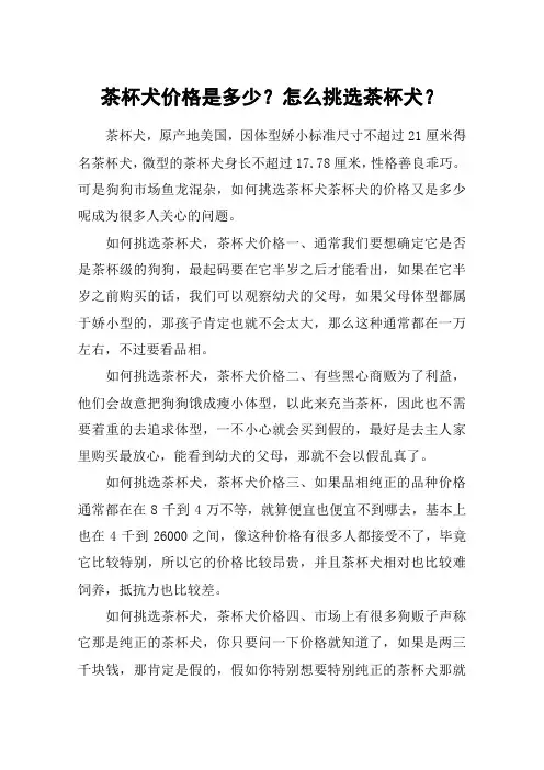茶杯犬价格是多少？怎么挑选茶杯犬？