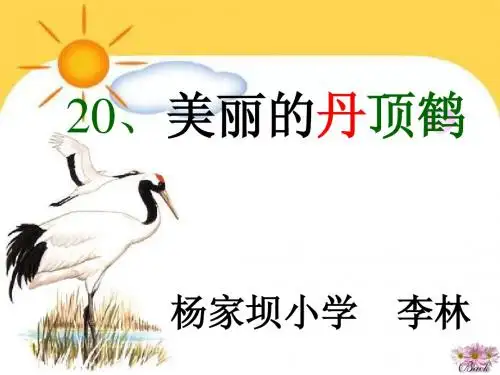 《美丽的丹顶鹤》PPT