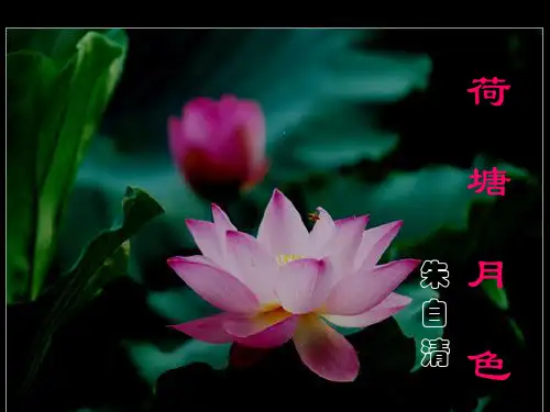 《荷塘月色》课件上课ppt